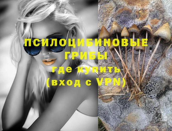 герыч Алексин