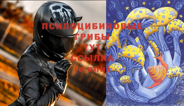 герыч Алексин
